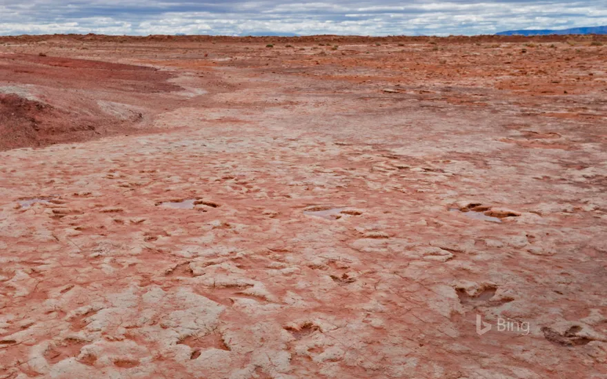 Dinosaur tracks from the Jurassic period found near Tuba City, Arizona, in the Navajo Nation