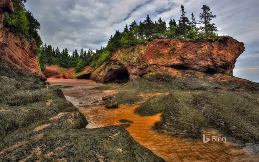 Caves and coastal features at low tide on the Bay of Fundy, near St. Martins, New Brunswick, Canada