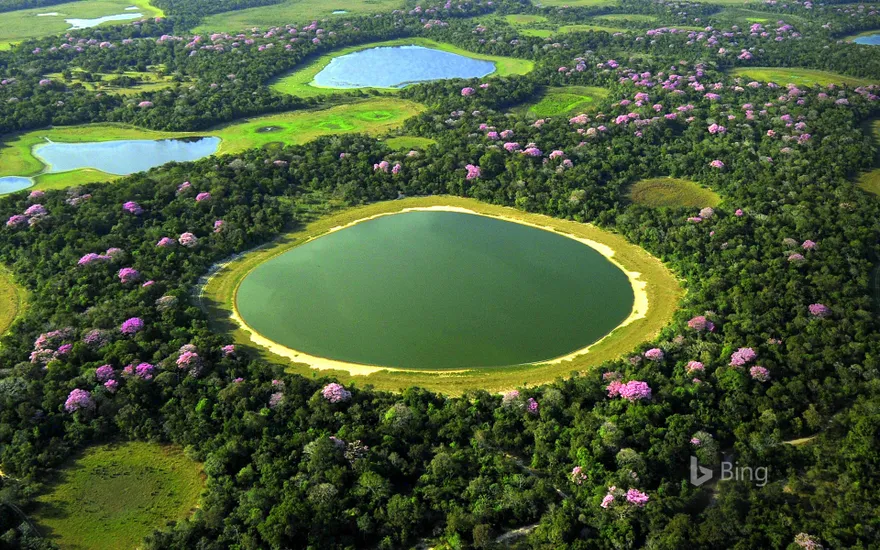 Wetlands of Pantanal, Brazil