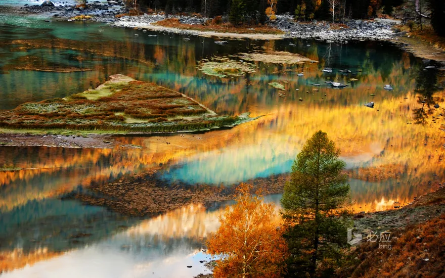 Reflection of colorful trees on lake in autumn day