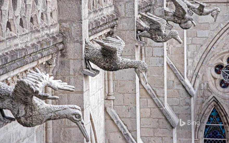 Grotesques of native Ecuadorian seabirds on the Basílica del Voto Nacional in Quito, Ecuador