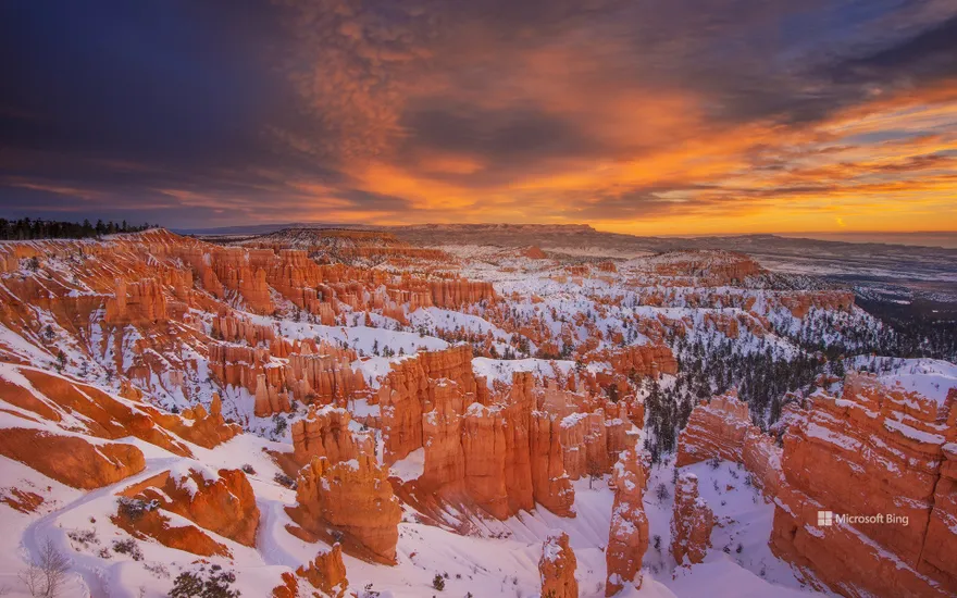 Hoodoos at Bryce Canyon National Park, Utah