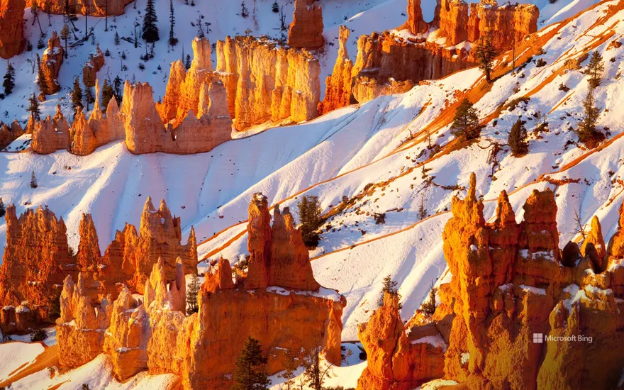 Sandstone hoodoos, Bryce Canyon National Park, Utah, United States