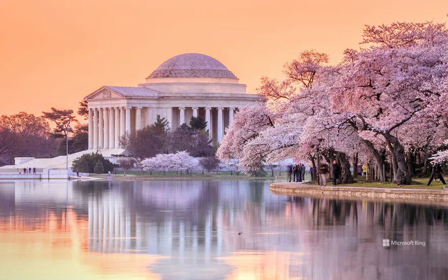 The Jefferson Memorial during the Cherry Blossom Festival, Washington, DC