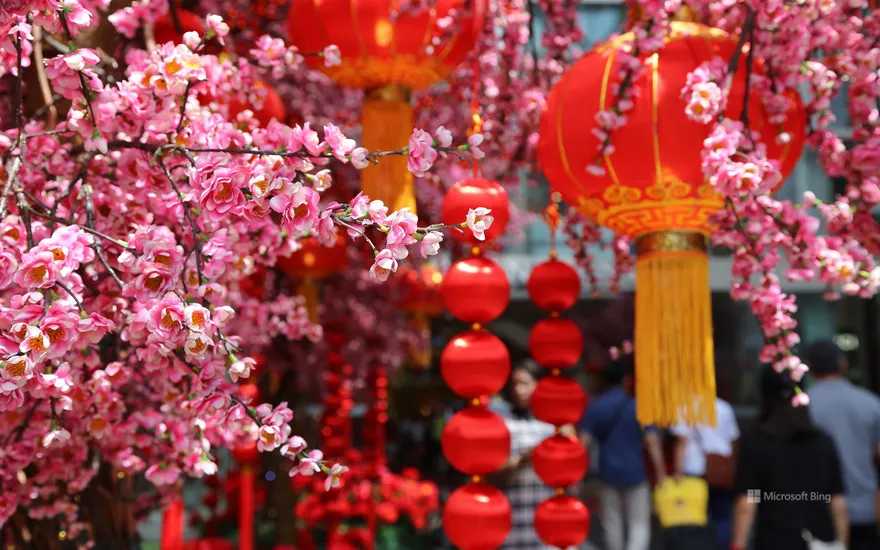 Spring Festival peach blossoms and red lanterns