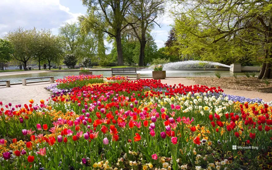 Flowerbeds with tulips and other spring flowers in the Rheinpark, Cologne