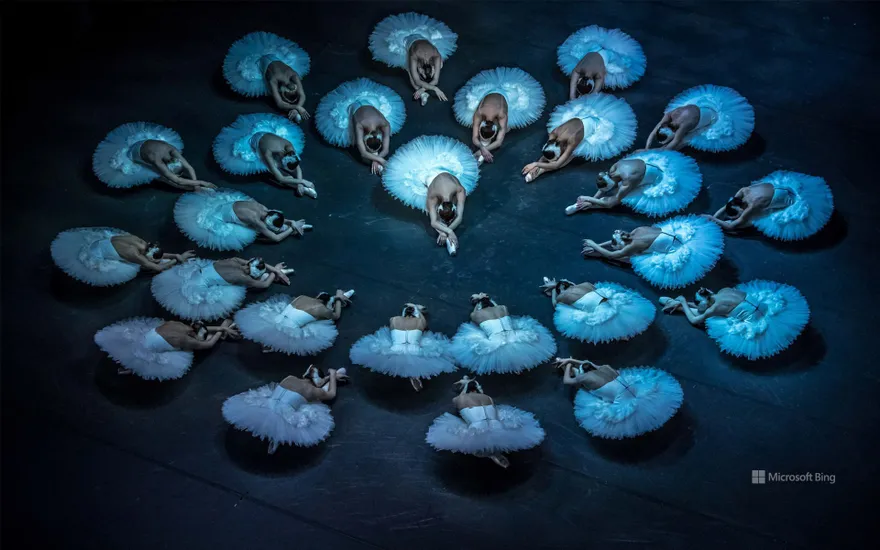 Rehearsal of Swan Lake by the Czech National Ballet in Prague, Czech Republic, March 25, 2019