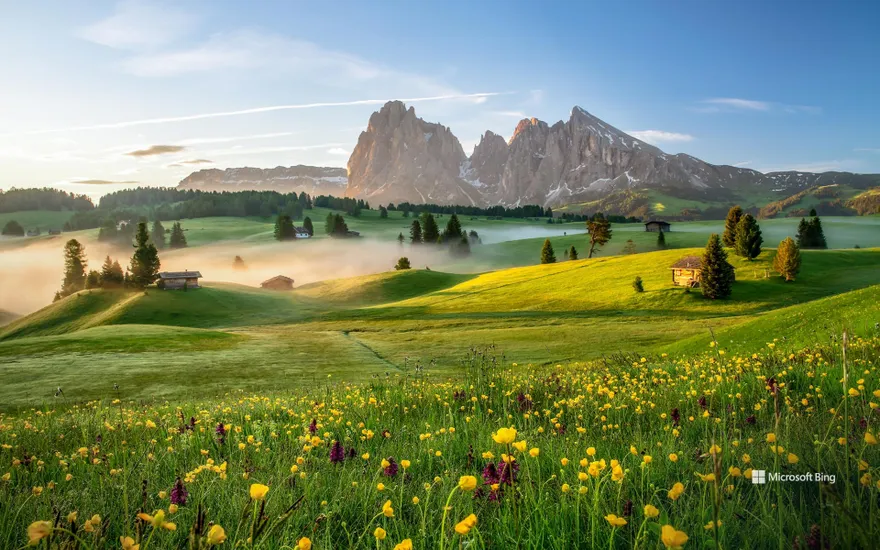 Seiser Alm in the Dolomites, South Tyrol, Italy