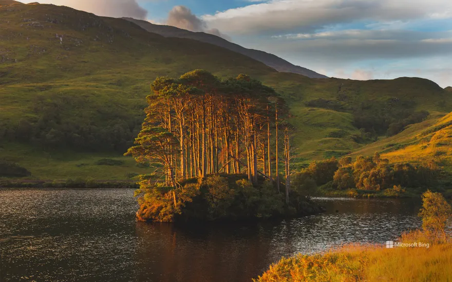 Dawn light on Eilean Na Mòine island, Loch Eilt, Scotland