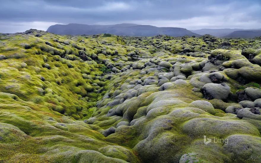 Eldhraun lava field in the Laki fissure system, Iceland