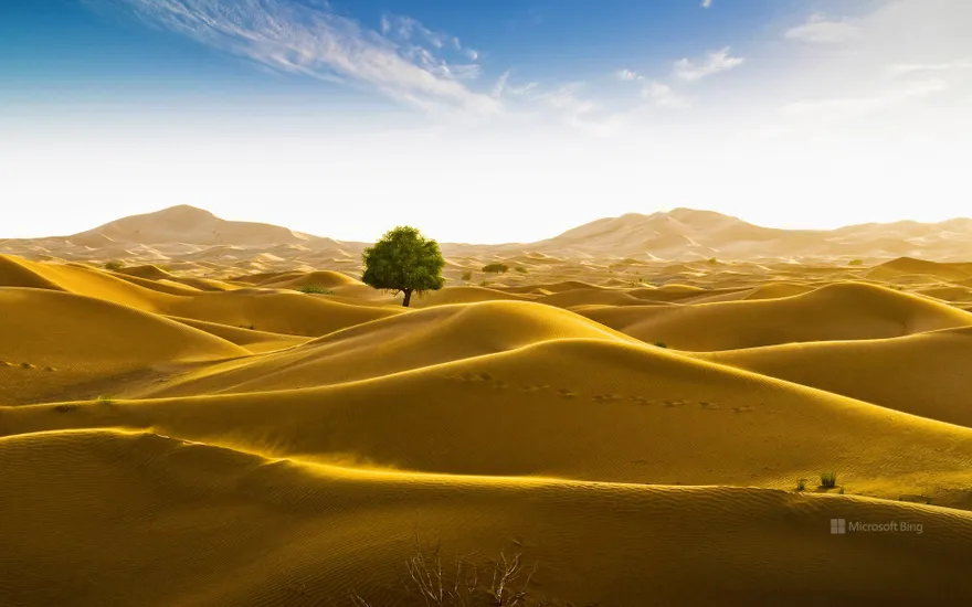 Rub' al Khali desert on the border of Oman and the Emirate of Dubai