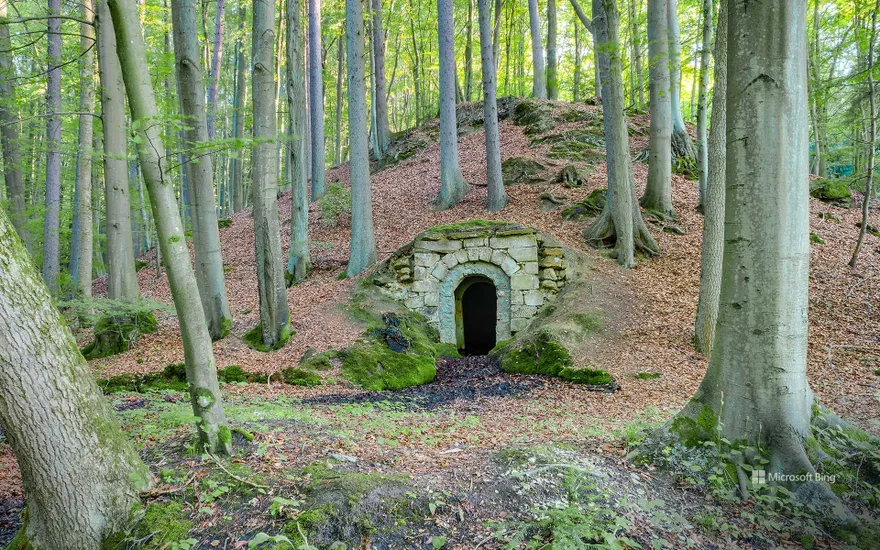 Bavarian Forest wine cellar, Germany