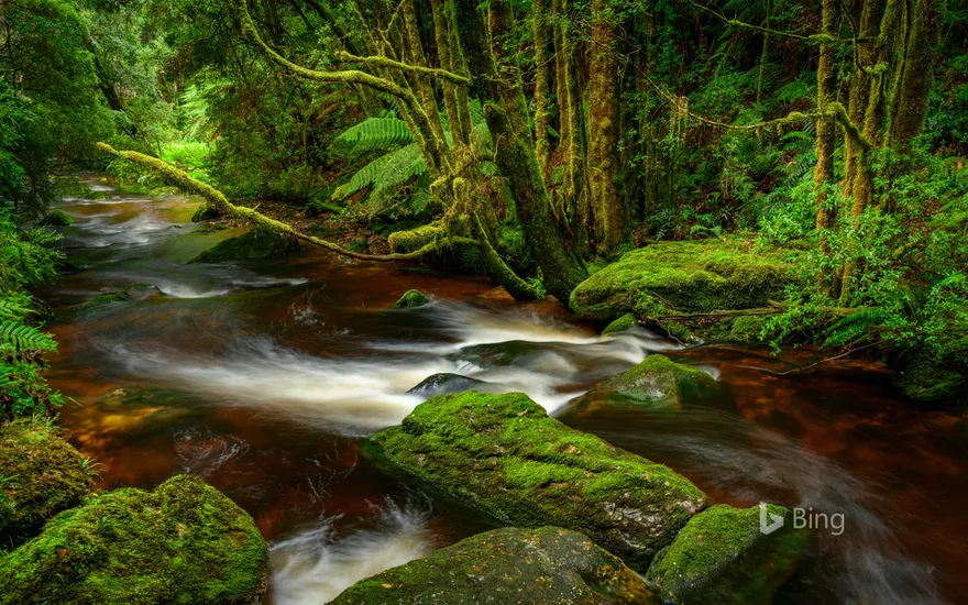 Franklin-Gordon Wild Rivers National Park, Tasmania