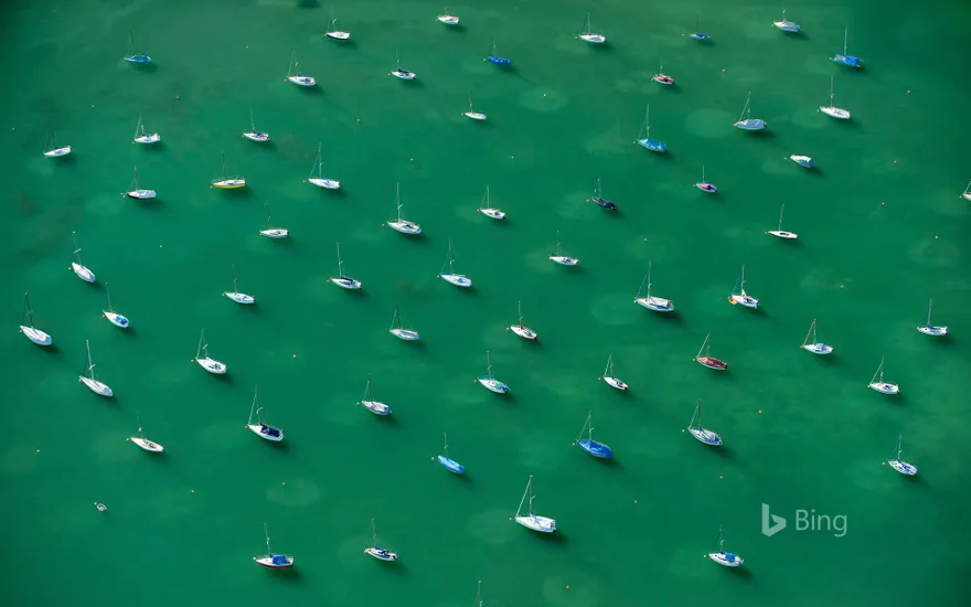 Anchored sailboats, Lake Constance, Friedrichshafen, Baden Wurttemberg, Germany