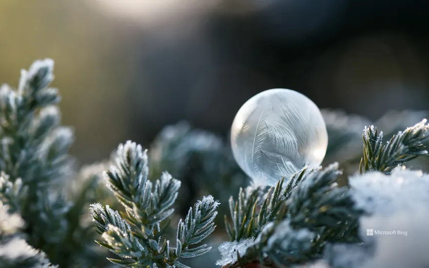 Wonderfully frozen soap bubble