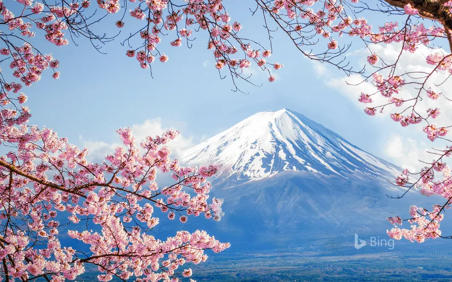 "Mt. Fuji and Sakura" Yamanashi, Lake Kawaguchi