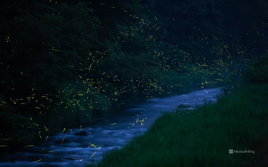 "Fukumanki Firefly Nokuni" Nichinan Town, Tottori Prefecture