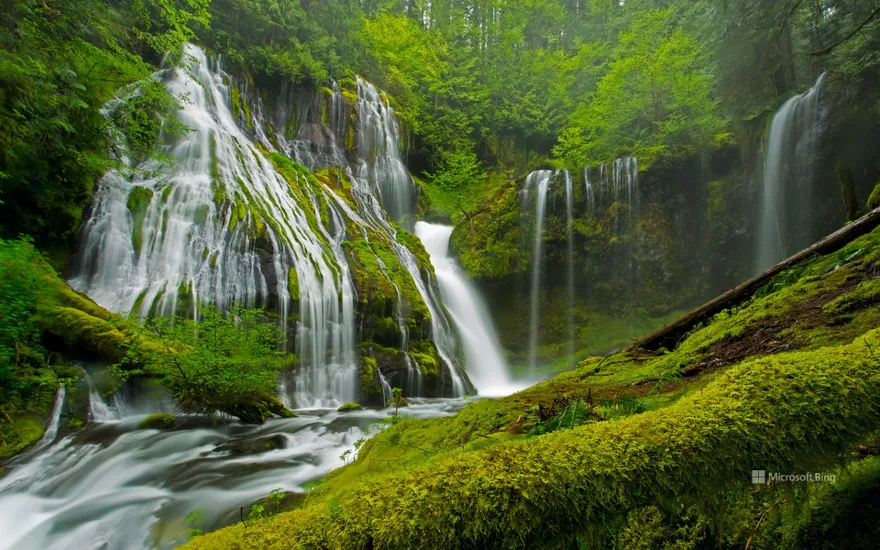 Panther Creek Falls, Gifford Pinchot National Forest, Washington, USA