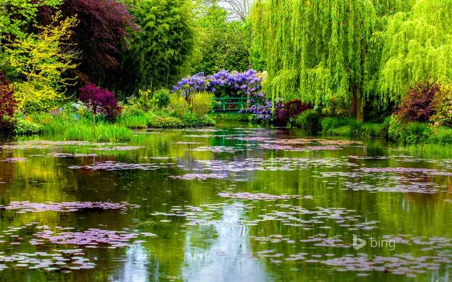 Monet's water garden in Giverny, France