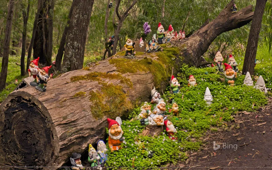 Gnomesville in the Shire of Dardanup, Australia