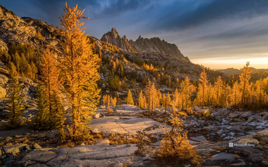 Golden larches and Prusik Peak, Enchantments, Washington, USA