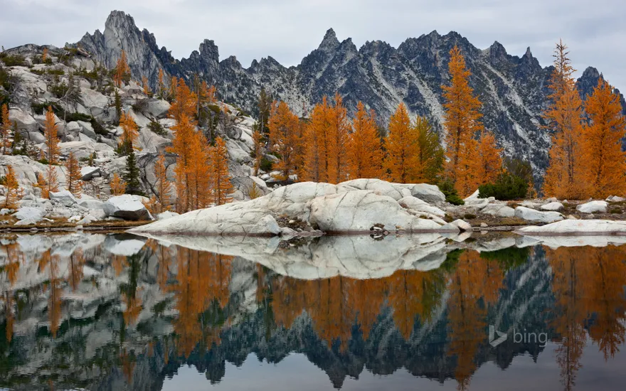 Golden larches and Prusik Peak reflected in Troll Sink Tarn, Upper Enchantments, Alpine Lakes Wilderness, Washington