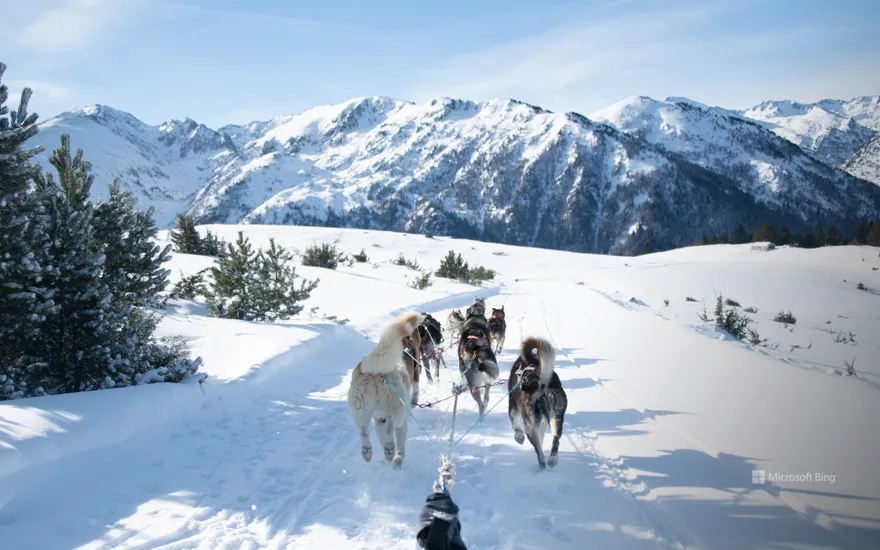 View from a sled pulled by dogs in the middle of the mountains, Les Cabannes, Occitanie, France