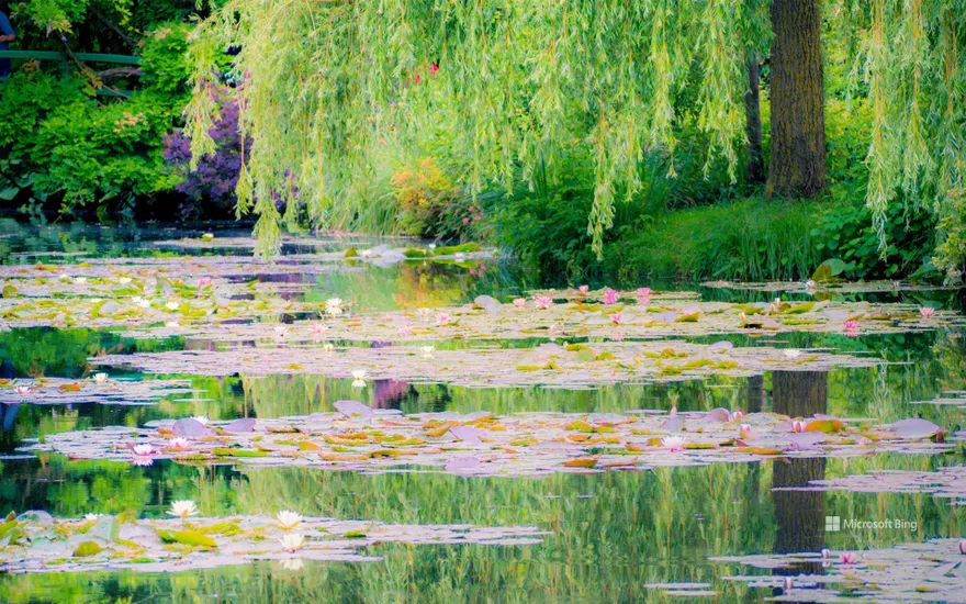 Monet's garden in Giverny, France