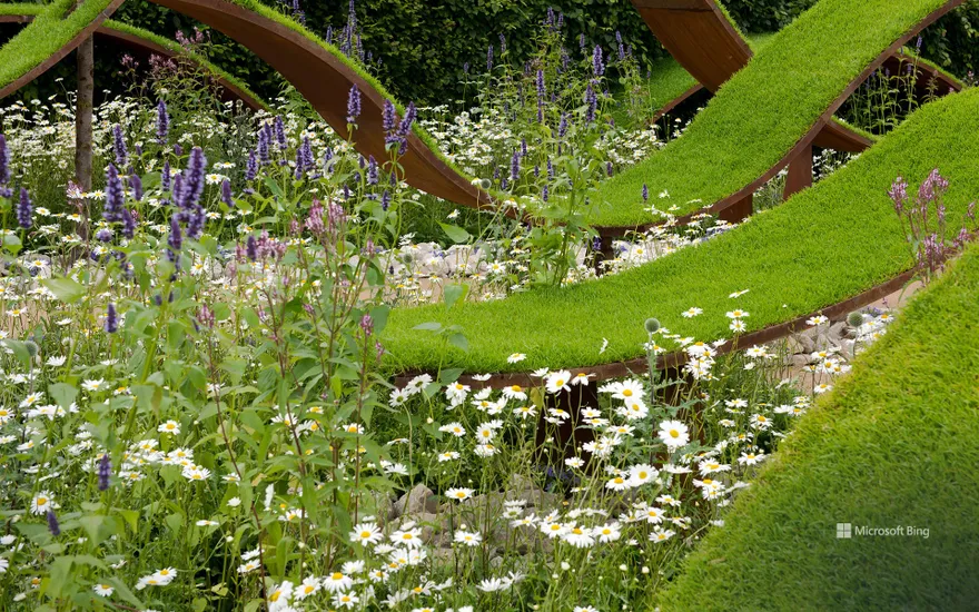The World Vision Garden at The Hampton Court Palace Flower Show 2016