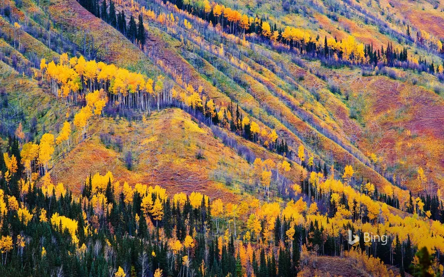 Fall colors near Toad River, British Columbia, Canada