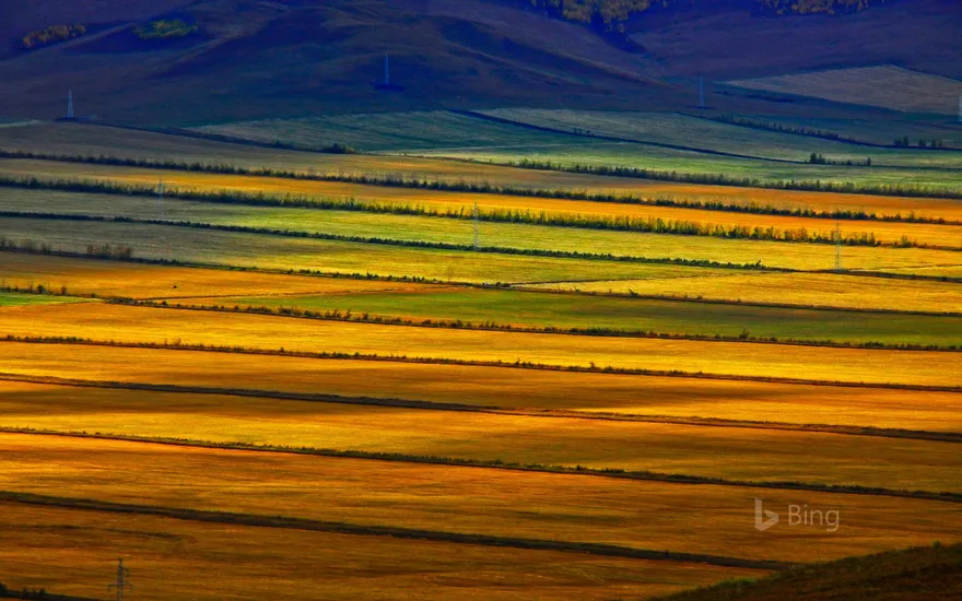Hulunbuir grasslands, Inner Mongolia, China