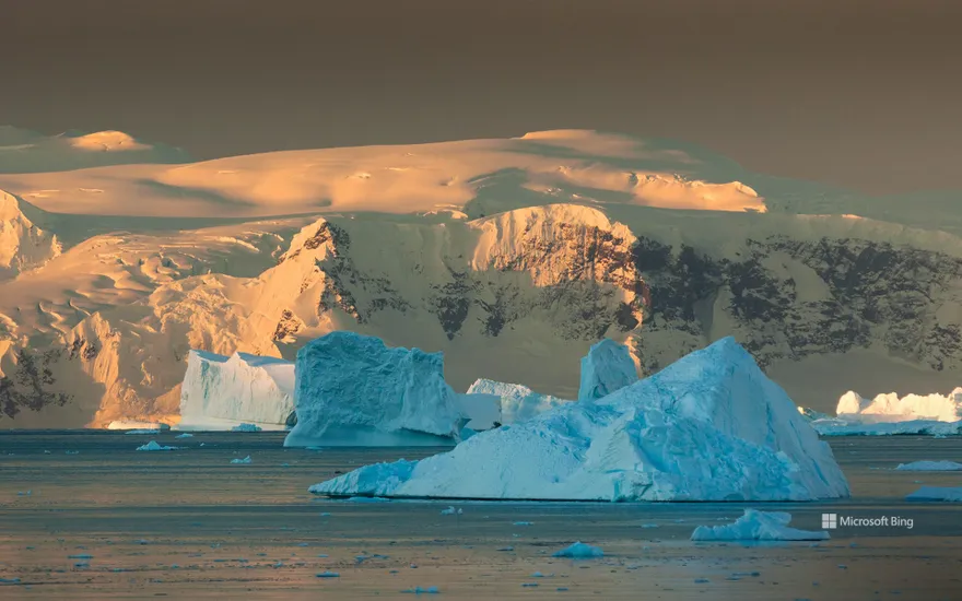 Icebergs, Antarctica