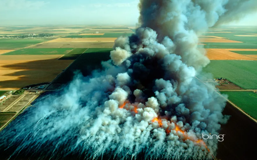 Aerial view, wheat field stubble burn, Kansas