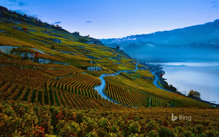 Terraced vineyards of the Lavaux region on the shores of Lake Geneva, Switzerland