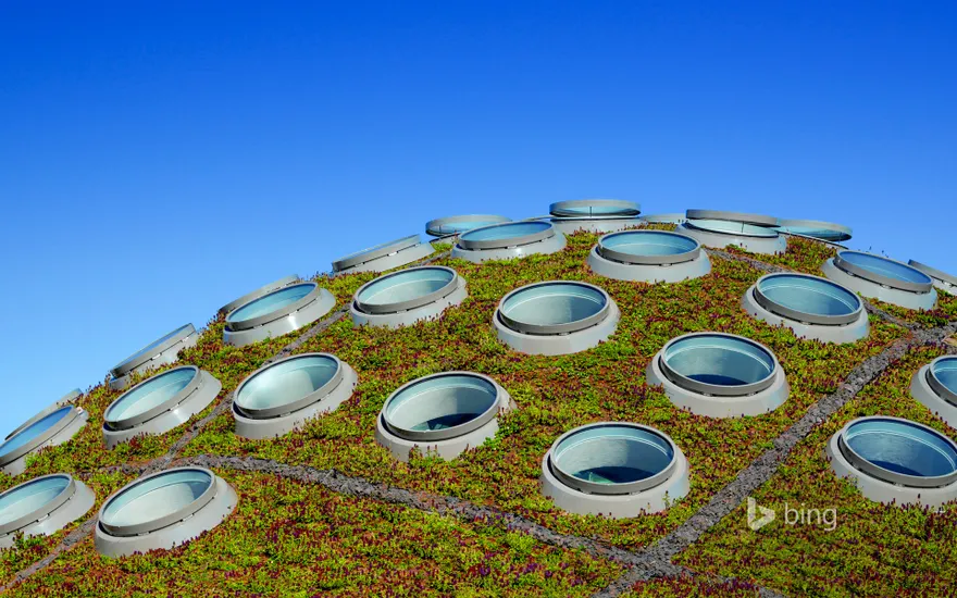 The Living Roof, California Academy of Sciences, Golden Gate Park, San Francisco, California