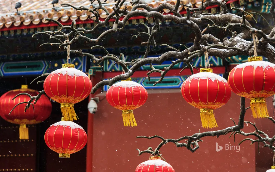 Red lanterns hanging on branches
