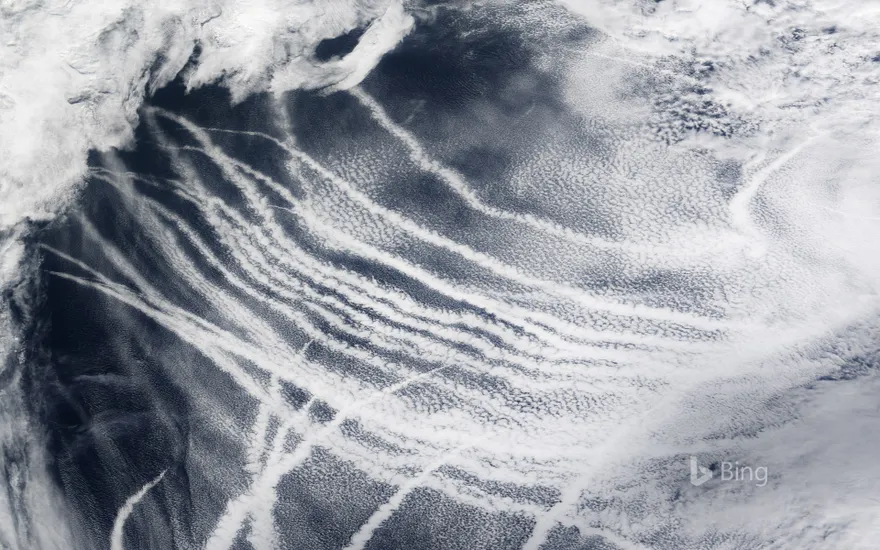 Ship tracks over the Pacific Ocean made visible by the clouds that form around the particles in ship exhaust