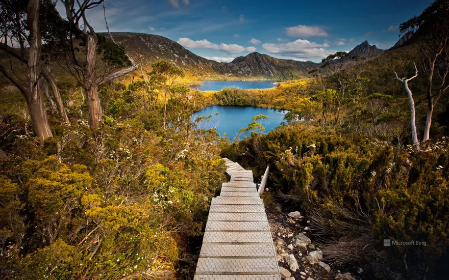 Cradle Mountain-Lake St Clair National Park, Tasmania, Australia