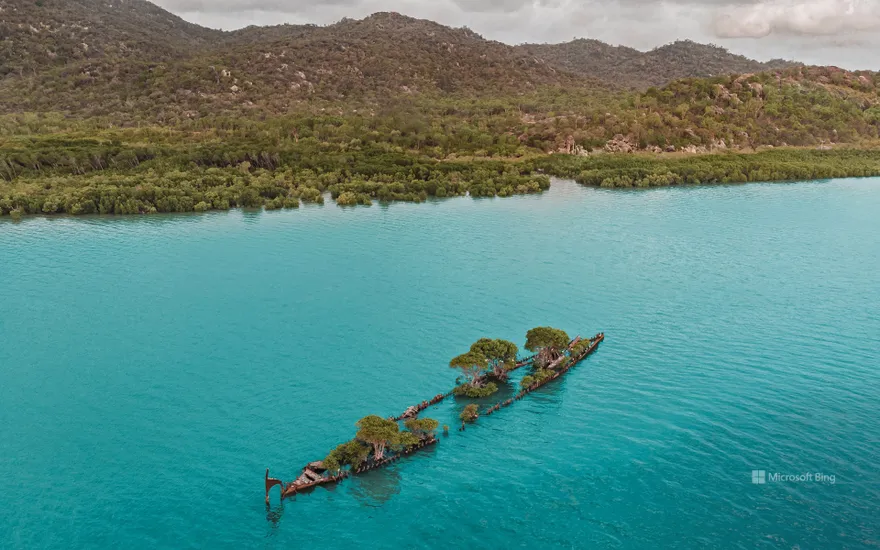 Aerial view of the 'City of Adelaide' shipwreck with trees growing on it, Magnetic Island, Queensland, Australia