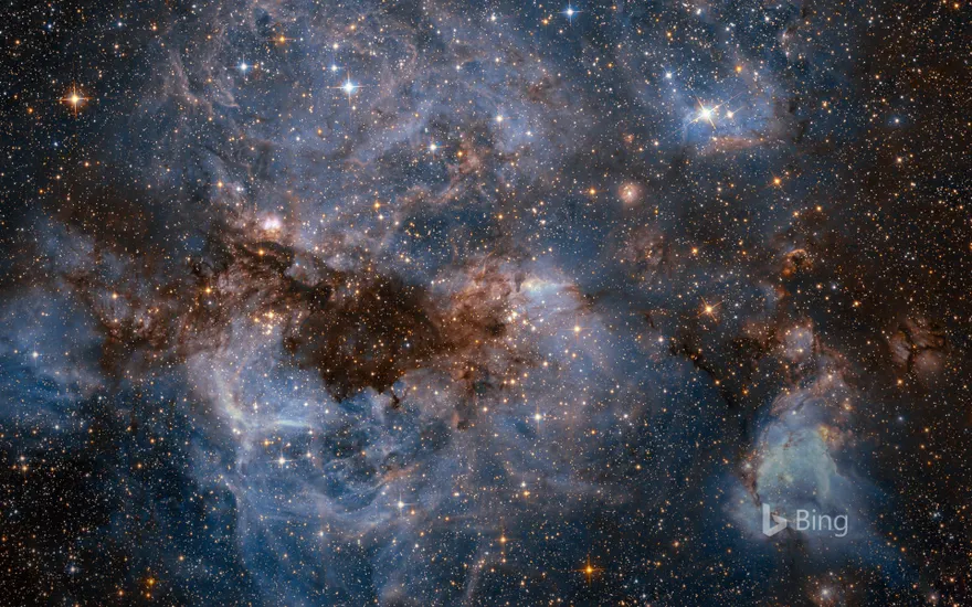 The Large Magellanic Cloud, photographed by the Hubble Space Telescope