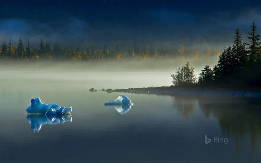 Icebergs on Mendenhall Lake near Juneau, Alaska