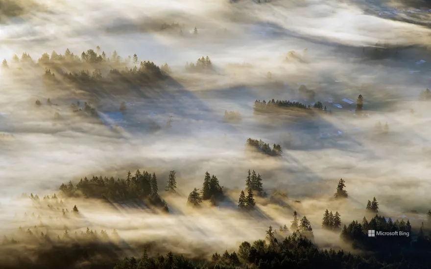 Mist in the Cowichan Valley on Vancouver Island, British Columbia, Canada