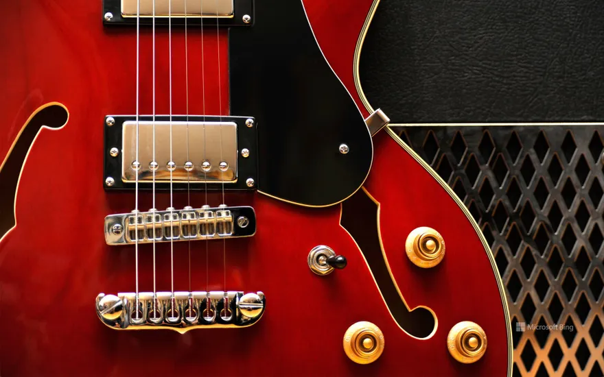 Gibson 355 Style Aria Jazz Guitar