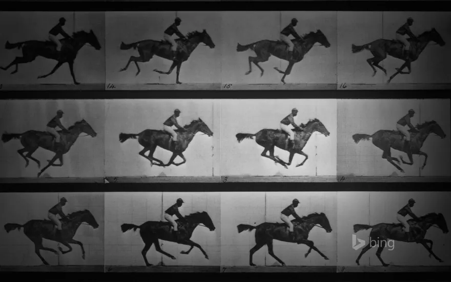 Eadweard Muybridge's photo series ‘Sallie Gardner at a Gallop’