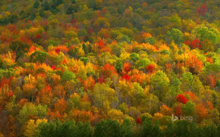 Fall foliage in Hudson Valley, New York