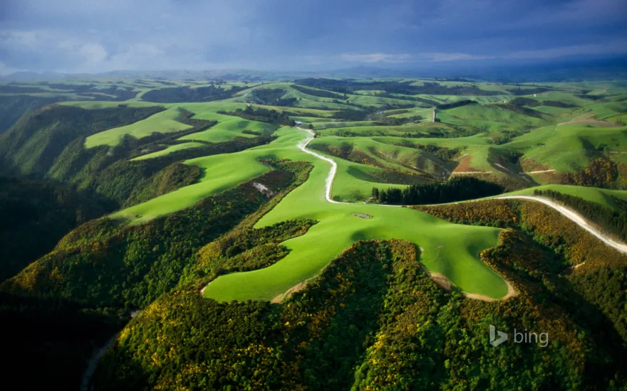Aerial view of farmlands, North Island, New Zealand