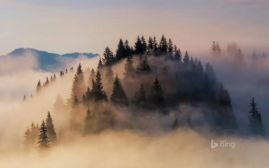 Fog shrouds the Bavarian Alps in Germany