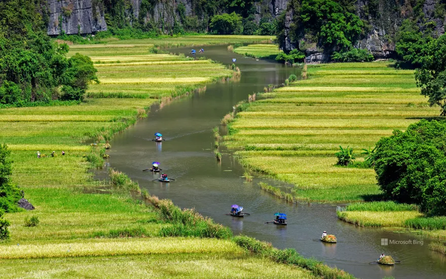 Ngo Dong river, Ninh Binh province, Vietnam