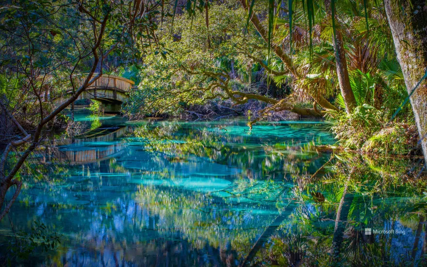 Juniper Springs, Ocala National Forest, Florida, USA