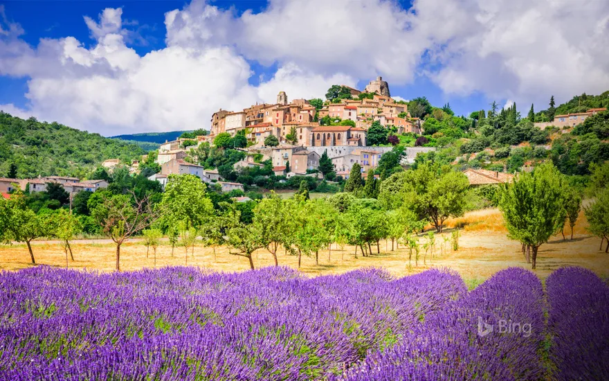 Village of Simiane-la-Rotonde and lavender field, in Provence